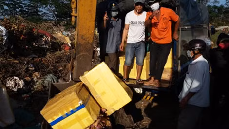 Lực lượng chức năng tiến hành tiêu hủy số thịt bị bắt giữ.