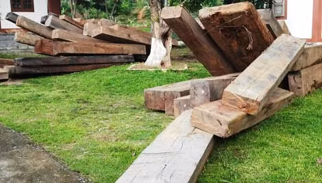 Hơn 41m3 gỗ quy tròn do Đội đặc nhiệm ma túy Biên phòng Quảng Trị phát hiện và bắt giữ.