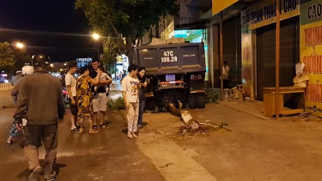 Sau khi tông vào hàng loạt phương tiện, chiếc xe ben tông gãy một cây xanh ven đường mới dừng lại