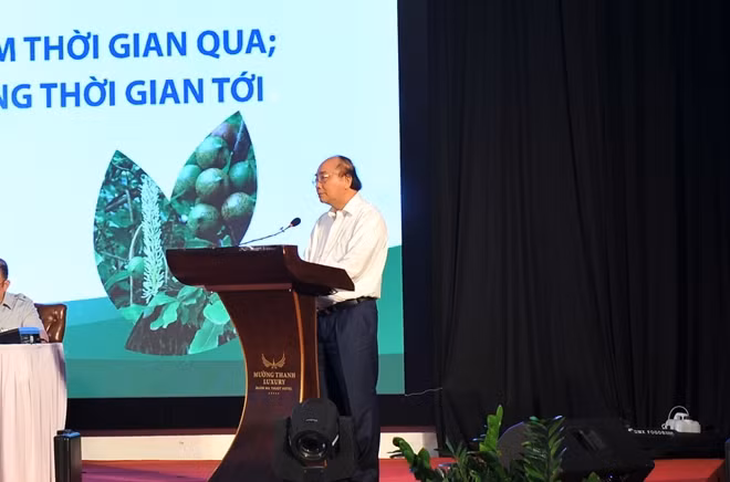 Thủ tướng Chính phủ Nguyễn Xuân Phúc phát biểu chỉ đạo Hội nghị