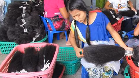 Công nhân nữ ở Myanmar phân loại tóc theo chiều dài.