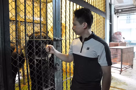 Nghệ sĩ Nguyễn Văn Hoàn bên bạn diễn trong khu nhà tập thể dành cho thú biểu diễn tại Hà Nội.