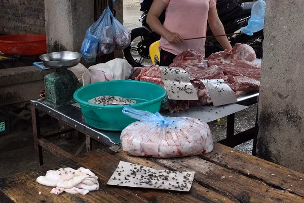 Ruồi ăn trước, người ăn sau... Ruồi ăn trước, người ăn sau...