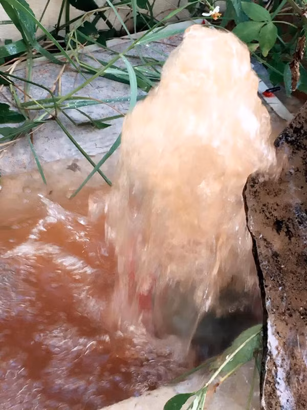 Nước máy ở khu đô thị mới Nam TP Đông Hà luôn trong tình trạng đỏ ngầu và có mùi hôi tanh rất khó chịu.