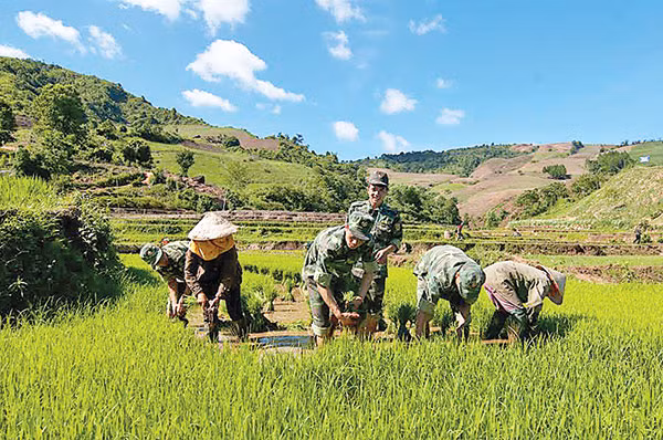 Giúp dân sản xuất.