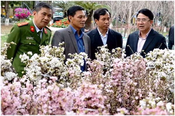 Lãnh đạo thành phố Hải Phòng kiểm tra công tác chuẩn bị cho lễ hội. Lãnh đạo thành phố Hải Phòng kiểm tra công tác chuẩn bị cho lễ hội.