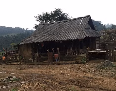 Lán nương nơi tử tù Nguyễn Văn Tình ẩn náu. Lán nương nơi tử tù Nguyễn Văn Tình ẩn náu.