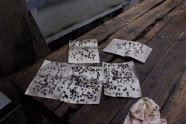 uồi đã trở thành "một phần trong cuộc sống" của người dân Nam Sơn. uồi đã trở thành "một phần trong cuộc sống" của người dân Nam Sơn.
