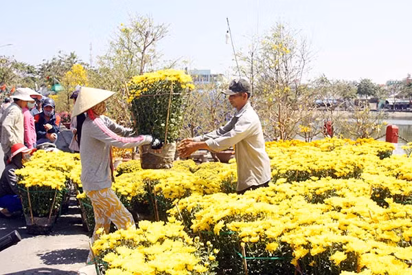 Bắp kiểng có giá 120/cặp.