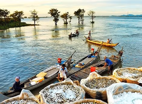 Mưu sinh mùa nước nổi.