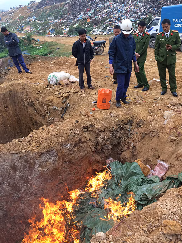 Lực lượng chức năng tỉnh Lào Cai tổ chức tiêu hủy gia cầm nhập lậu (ảnh: Chi cục QLTT Lào Cai cung cấp).
