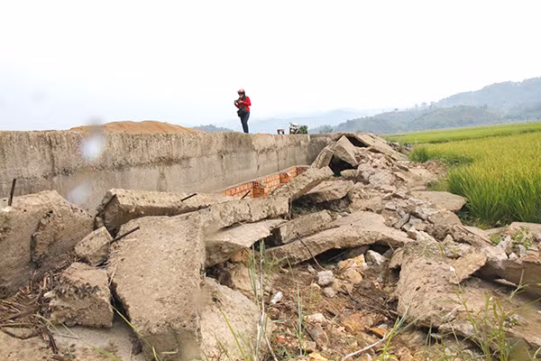 Những tấm tuluy bê tông bị sụt, rơi cả xuống ruộng lúa.