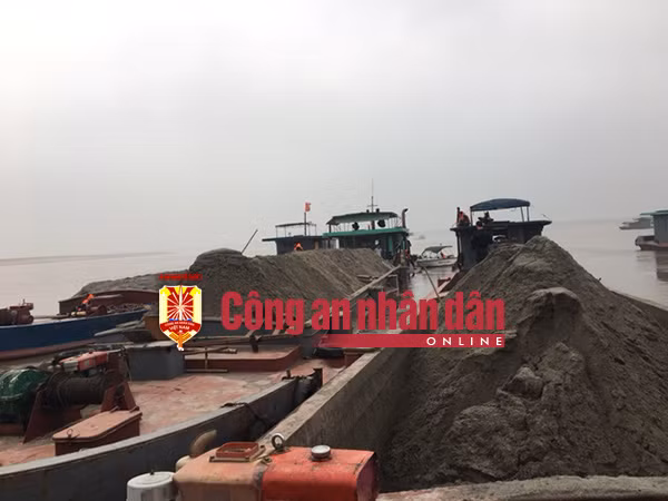 Các phương tiện khai thác cát bị tạm giữ.