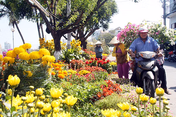Các khu vực chợ hoa tại TP Cần Thơ nhộn nhịp cảnh mua bán, vận chuyển hoa, kiểng.
