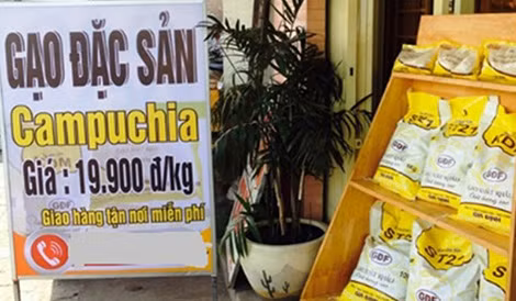…và gạo Campuchia xuất khẩu…