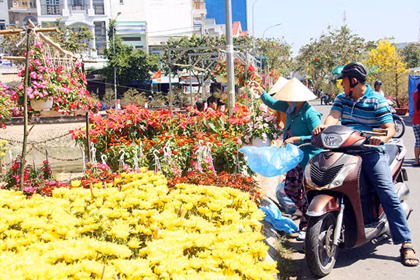 Muôn màu hoa, kiểng đáp ứng nhu cầu đa dạng của khách hàng với nhiều mức giá phù hợp.