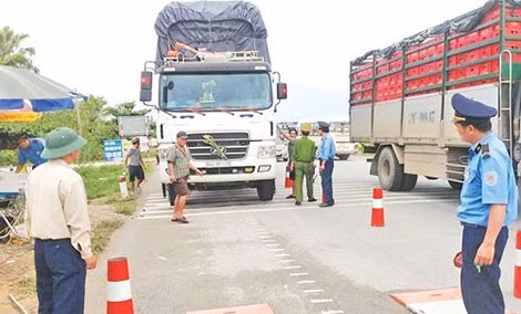 Tháng 11 có 788 tài xế bị tước giấy phép lái xe vì chở quá tải 