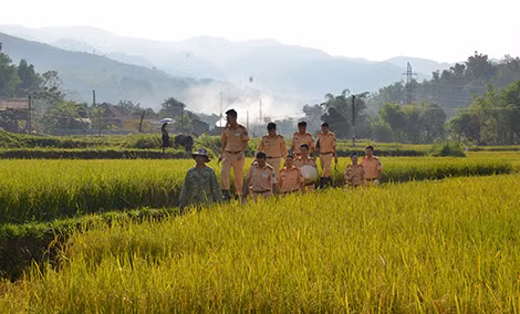 Đoàn viên thanh niên Phòng CSGT và Trạm CSGT xuống đồng gặt lúa giúp gia đình chính sách tại bản Lói, xã Quài Tở, huyện Tuần Giáo