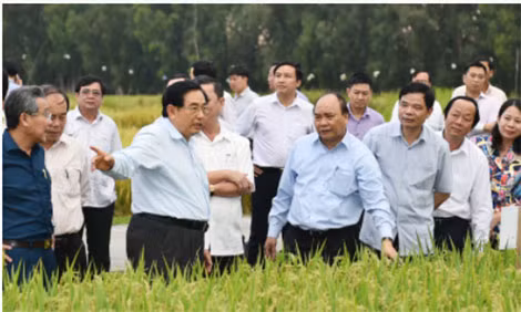 Thủ tướng Nguyễn Xuân Phúc thăm các cánh đồng mẫu, trồng các giống lúa mới của một trung tâm nghiên cứu nông nghiệp tại An Giang, ngày 14-3-2017. Ảnh: VGP/Quang Hiếu Thủ tướng Nguyễn Xuân Phúc thăm các cánh đồng mẫu, trồng các giống lúa mới của một trung tâm nghiên cứu nông nghiệp tại An Giang, ngày 14-3-2017. Ảnh: VGP/Quang Hiếu