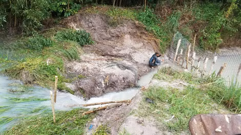 Mưa lớn gây ngập lụt tại huyện Tân Thành khiến 80 tấn cá lóc của người dân trôi ra suối.