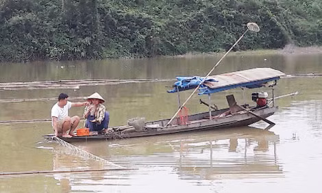 Một thuyền chài dùng vợt kích điện bắt cá trên sông Lô. Một thuyền chài dùng vợt kích điện bắt cá trên sông Lô.