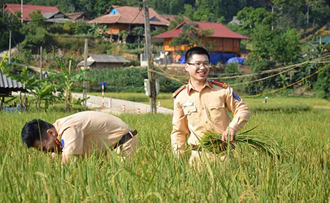 Nụ cười giữa mùa vàng bội thu.