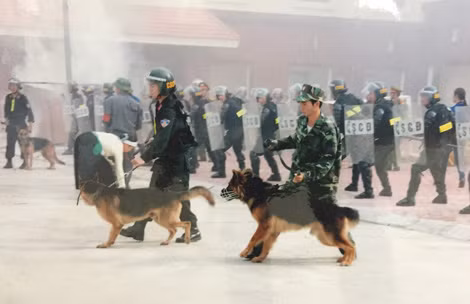 Lực lượng Cảnh sát cơ động luôn rèn luyện để nâng cao nghiệp vụ và khả năng chiến đấu. Lực lượng Cảnh sát cơ động luôn rèn luyện để nâng cao nghiệp vụ và khả năng chiến đấu.