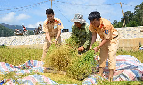 Cùng nhân dân đập lúa.