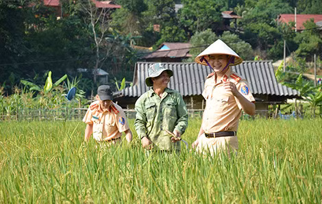 Niềm vui của anh chủ ruộng trước mùa vàng bội thu cùng sự nhiệt tình của CBCS CSGT