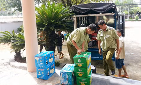 Trái cây, cà rốt không rõ nguồn gốc bị tịch thu, tiêu hủy. Trái cây, cà rốt không rõ nguồn gốc bị tịch thu, tiêu hủy.