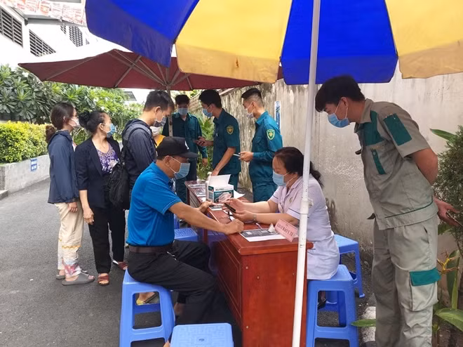 Hướng dẫn cử tri khai báo y tế.