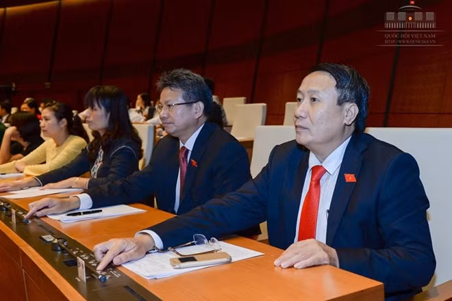 Nhiều đại biểu Quốc hội cũng bày tỏ kỳ vọng vào Chính phủ mới