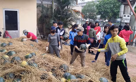 Xuất khẩu nông, lâm, thủy sản đang gặp rất nhiều khó khăn.