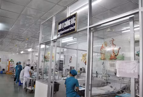 Khoa hồi sức tích cực-chống độc đang điều trị cho hai bé.