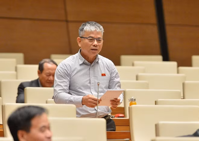 Đại biểu Nguyễn Thanh Hồng