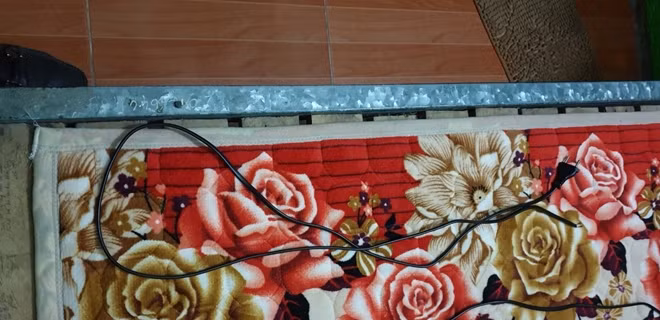 Dây điện Dung định dùng để tự sát nhưng không thành