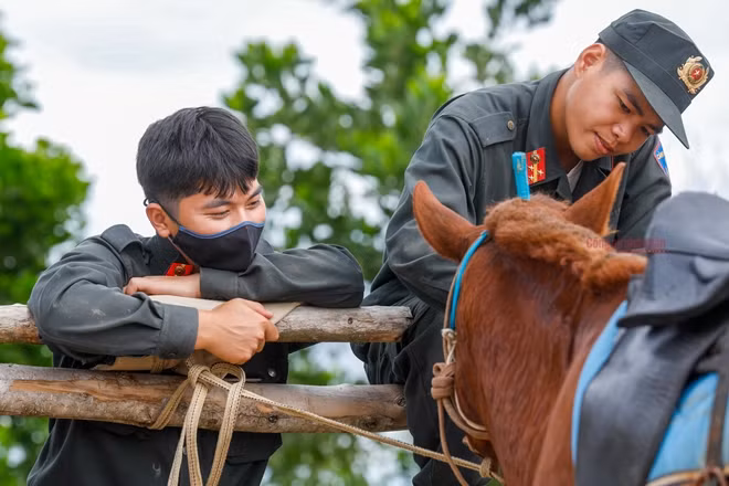 Đa số các chiến sĩ ở đây đều rất trẻ, người trẻ nhất mới chỉ 20 tuổi nhưng đều rất yêu động vật. Đó là tiêu chí đầu tiên khi tuyển quân lên "chăn ngựa".