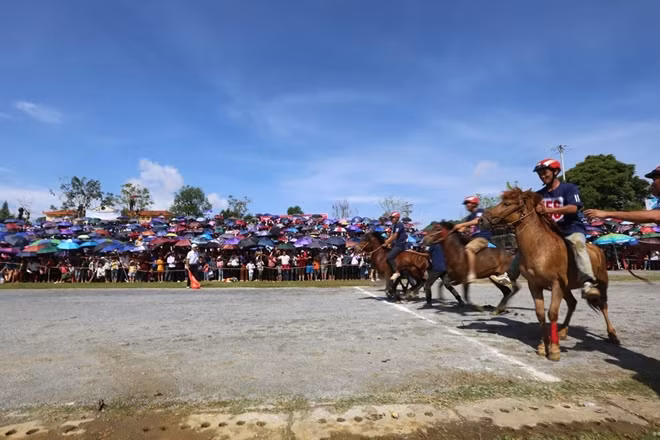 Sau hiệu lệnh của trọng tài, các nài ngựa thúc ngựa đua lao nhanh.