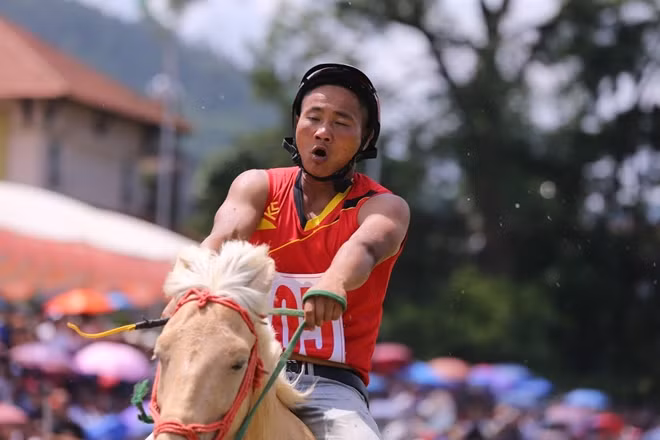Những con "chiến mã" bứt tốc trên đường đua.
