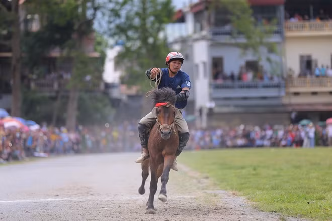 Không mang tính chất thương mại, không phải giải đua chuyên nghiệp, đua ngựa ở Bắc Hà là cuộc đua của những người nông dân và ngựa đua là những con ngựa thồ. Đặc biệt, đua ngựa ở Bắc Hà là “đua mộc”, những nài cưỡi trên lưng ngựa không có yên cương, không bàn đạp giữ chân mà chỉ có đai buộc ngựa, hai móc sắt buộc vào dây hai bên hàm để điều khiển.