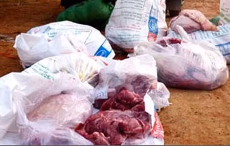Số nội tạng và thịt lợn, bò thối bị bắt giữ.