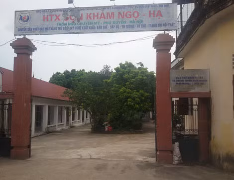 HTX Sơn khảm Ngọ Hạ, nơi thắp sáng niềm tin cho những mảnh đời bất hạnh. HTX Sơn khảm Ngọ Hạ, nơi thắp sáng niềm tin cho những mảnh đời bất hạnh.