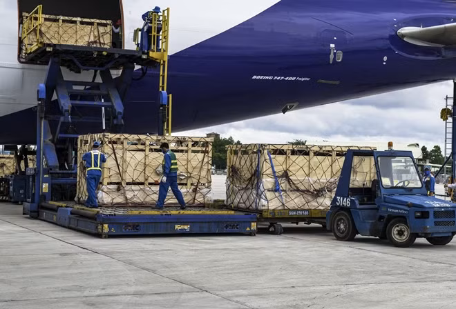 Đưa bò sữa từ máy bay về trang trại của Vinamilk tại Lâm Đồng.