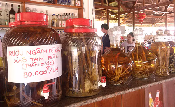 Lấy gì để chứng minh đây là rượu ngâm xáo tam phân? Lấy gì để chứng minh đây là rượu ngâm xáo tam phân?