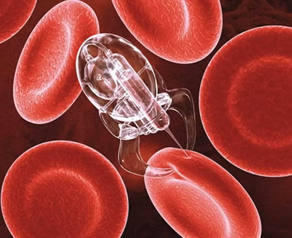 Mô tả hoạt động của thuốc nano tiêu diệt tế bào ung thư.