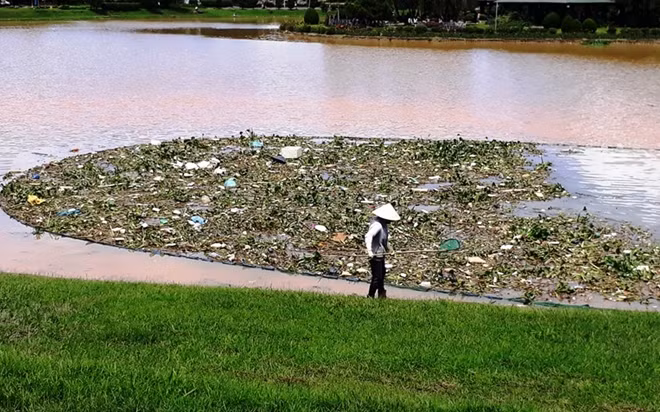 Chất thải nông nghiệp đổ về hồ Xuân Hương