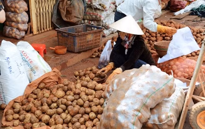 Chợ nông sản Đà Lạt bị hàng Trung Quốc trà trộn gây hiểu lầm trong nhiều năm qua.
