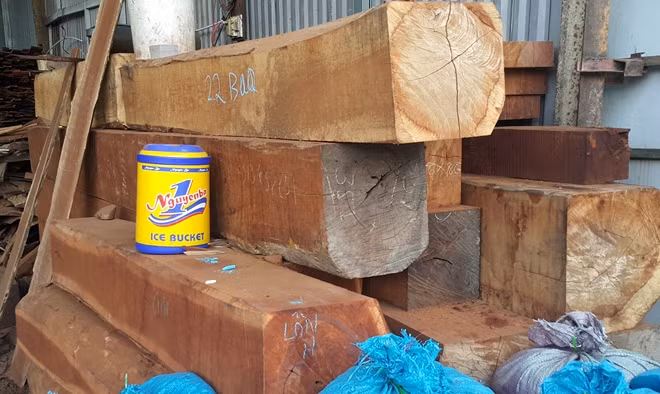Một số gỗ được tập kết tại xưởng của Phượng “râu”