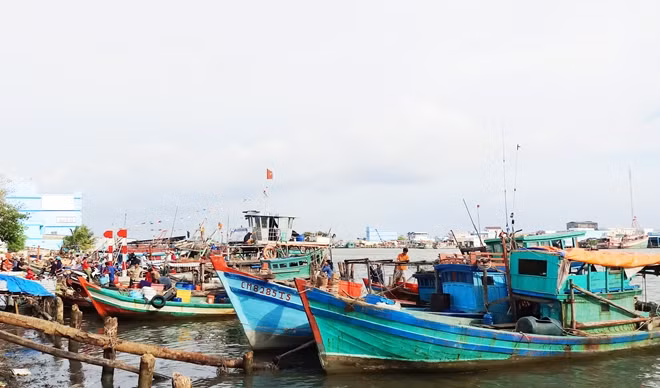 Các tỉnh, thành ven biển miền Tây khẩn trương tổ chức, hướng dẫn ngư dân neo đậu tàu thuyền tránh bão an toàn.