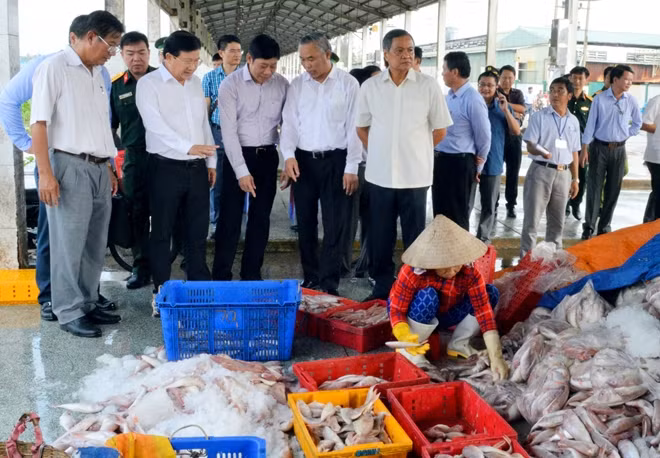 Phó Thủ tướng Trịnh Đình Dũng cùng Đoàn công tác kiểm tra thực tế tại cảng cá Tắc Cậu.